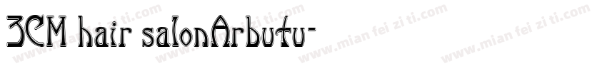 3CM hair salonArbutu字体转换